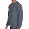 Gildan Softstyle Crewneck Sweatshirt, 80/20 Cotton Blend, Print-Ready Fleece